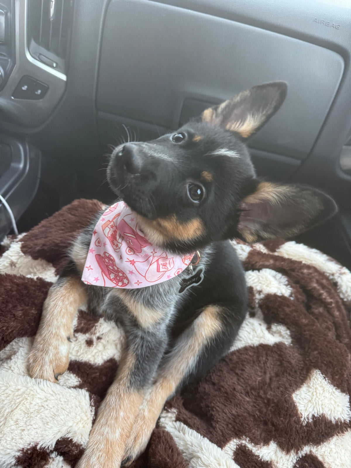 Rhinestone Cowgirl Scrunchie Bandana